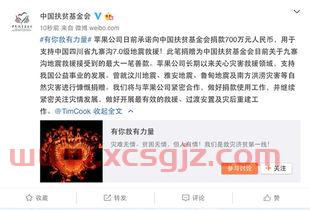 中国扶贫基金会捐款明细（中国扶贫基金会 捐款）