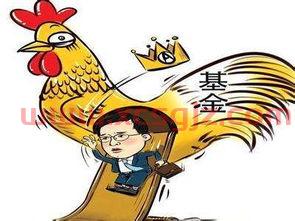 买的基金怎么怎么看收益（买完基金怎么看收益）
