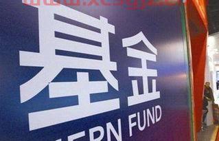 今年买什么基金号好（今年选什么基金）