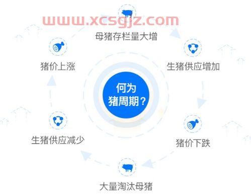 基金猪肉怎么买划算的股票（猪肉基金什么时候涨）