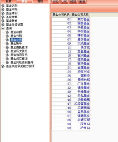 货币基金怎么买股票入门（货币基金怎么玩新手入门）