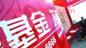 最买什么基金好（买什么基金最稳妥）