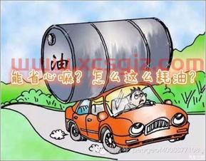 汽油上涨买什么基金好（汽油基金涨了没有啊）