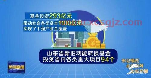 青岛市基金投资公司（青岛市基金投资公司招聘）