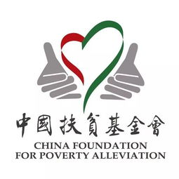 中国扶贫基金会二星级志愿（中国扶贫基金会一星级志愿者算*奖项吗）