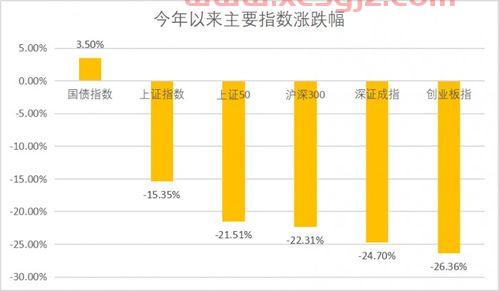 股市基金收益怎么看（股票基金如何看涨跌）