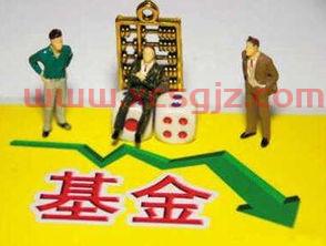 共同基金棋一家投资公司的简单介绍
