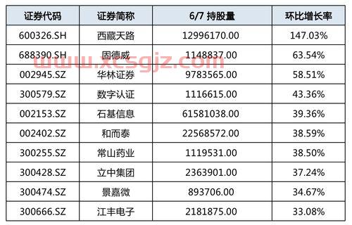 大摩基金好不好