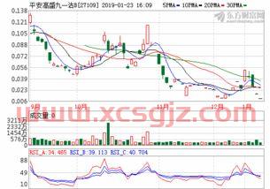 大成蓝筹基金090003净值