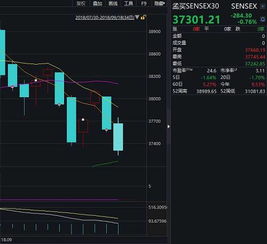 亿华通公司简介