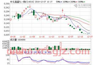 基金净值查询090003