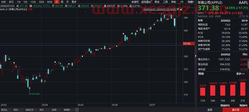 伊利集团公司简介