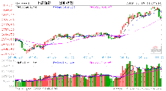 棉花信息网