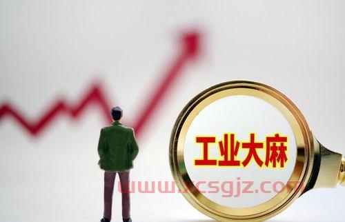 社保基金重仓的前十个股票