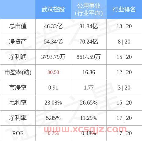 武汉控股股吧