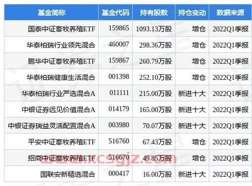 *净值是什么意思