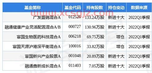 广发盛锦混合基金