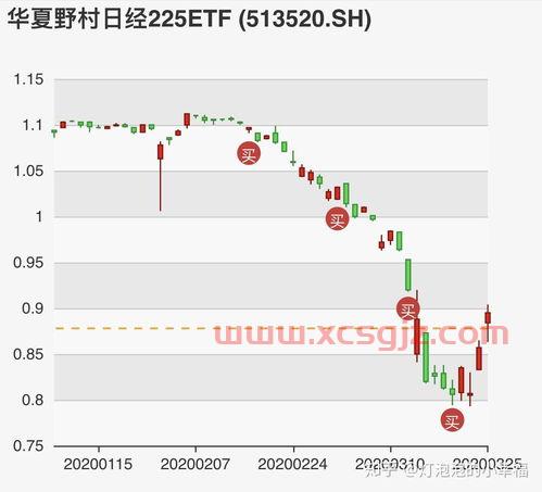指数基金当天收益怎么看（指数基金当天涨跌看什么）