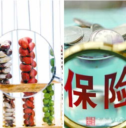 金融行业属于服务业吗（金融行业属于服务业吗知乎）